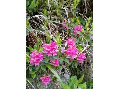 Apartment Appartement Angela - Outdoor photo 49