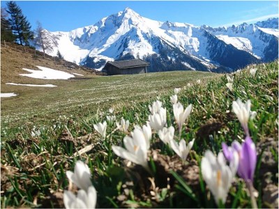 Apartment Appartement Angela - Outdoor photo 52