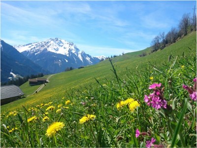 Apartment Appartement Angela - Outdoor photo 53