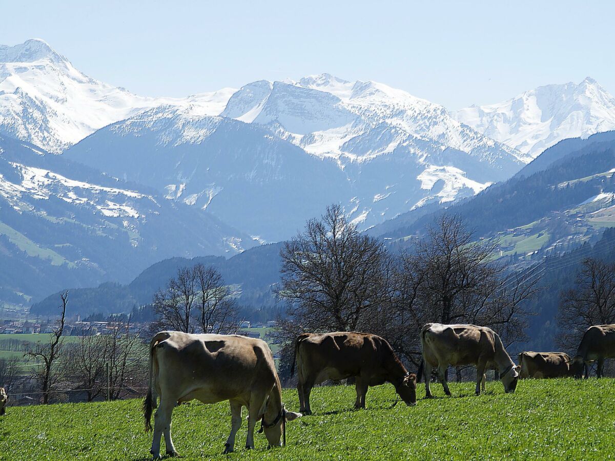 Apartment Apart Zillertal/2-4 Pers. + 2 Kinder - Outdoor photo 3