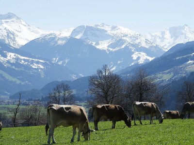 Apartment Apart Zillertal/2-4 Pers. + 2 Kinder - Outdoor photo 3