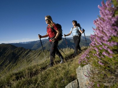 Apartment Apart Zillertal/2-4 Pers. + 2 Kinder - Features photo 23