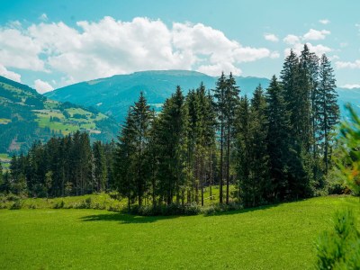 Apartment Rehbock Suite - Outdoor photo 20