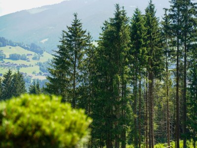 Apartment Rehbock Suite - Outdoor photo 30