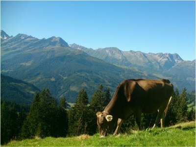 Apartment Zillertal - Outdoor photo 19