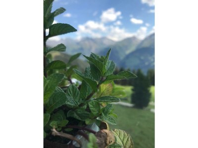 Apartment Zillertal - Outdoor photo 21