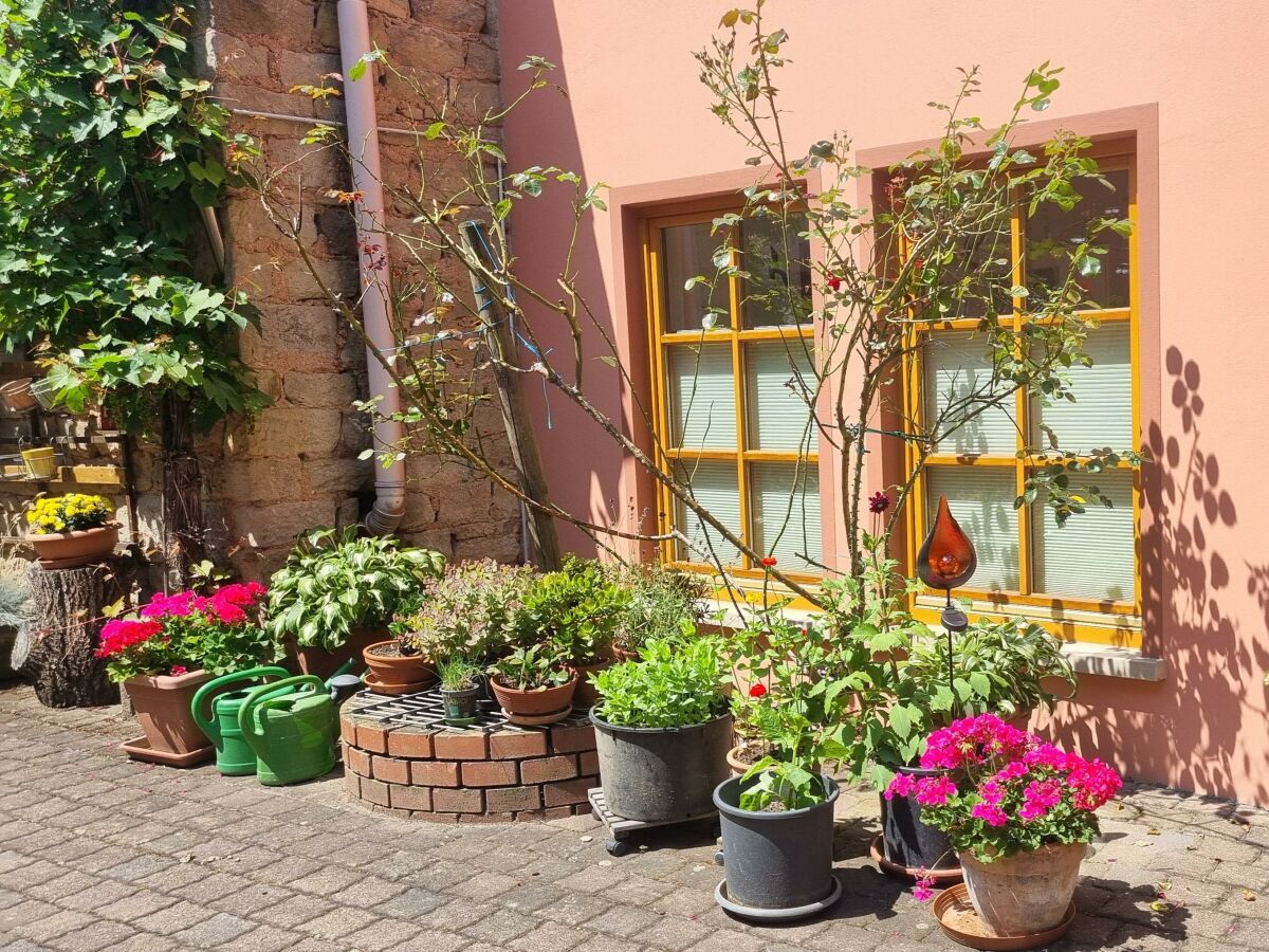 Apartment Appartement/Fewo, Dusche, WC, Wohn-/Schlafraum - Outdoor photo 5