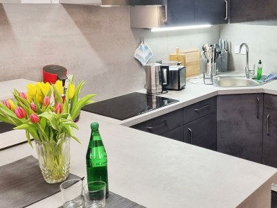 Apartment Appartement/Fewo, Dusche, WC, Wohn-/Schlafraum - Features photo 24