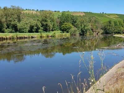 Apartment Appartement/Fewo, Dusche und Bad, WC, 2 Schlafräum - Outdoor photo 11