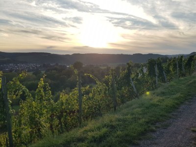 Apartment Appartement/Fewo, Dusche und Bad, WC, 2 Schlafräum - Outdoor photo 16