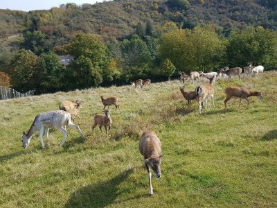 Apartment Appartement/Fewo, Dusche und Bad, WC, 2 Schlafräum - Outdoor photo 18