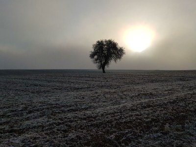 Apartment Appartement/Fewo, Dusche und Bad, WC, 2 Schlafräum - Outdoor photo 21
