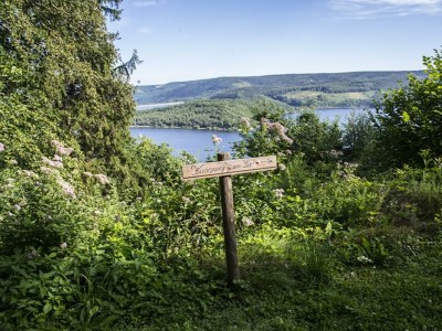Apartment 5-Bett-Ferienhaus Waldhaus Anne - Outdoor photo 5