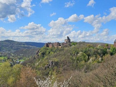 Apartment 2-Bett-Ferienwohnung Nationalpark - Outdoor photo 8