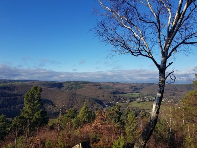Apartment 2-Bett-Ferienwohnung Nationalpark - Outdoor photo 10