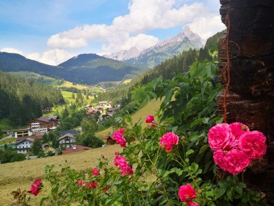 Apartment Apartment/2 Schlafräume/Dusche, WC - Outdoor photo 7