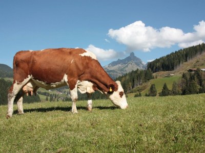 Apartment Apartment/2 Schlafräume/Dusche, WC - Outdoor photo 9