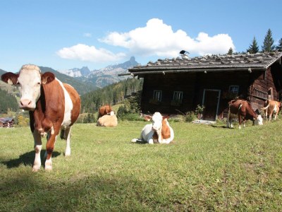 Apartment Apartment/2 Schlafräume/Dusche, WC - Outdoor photo 10