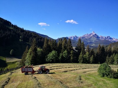 Apartment Apartment/2 Schlafräume/Dusche, WC - Outdoor photo 11