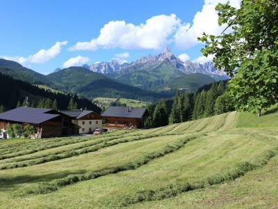 Apartment Apartment/2 Schlafräume/Dusche, WC - Outdoor photo 12