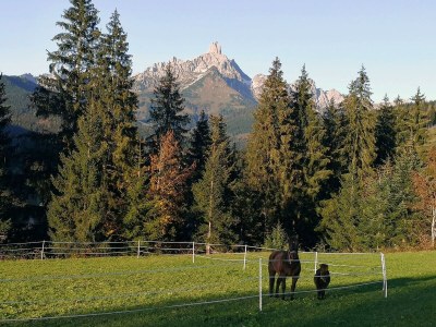 Apartment Apartment/2 Schlafräume/Dusche, WC - Outdoor photo 14