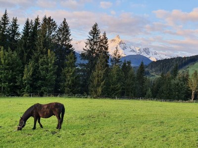 Apartment Apartment/2 Schlafräume/Dusche, WC - Outdoor photo 15