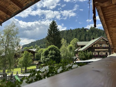 Apartment 3 Zimmer Appartement "Fiakerblick" - Features photo 15