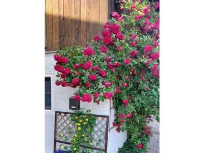 Apartment Fewo A (1-8 Personen/4SZ) - Outdoor photo 20