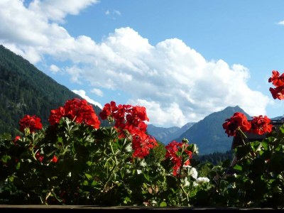 Apartment Fewo A (1-8 Personen/4SZ) - Features photo 37