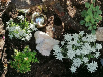 Holiday room Studio (2-3 Pers.) - Outdoor photo 20