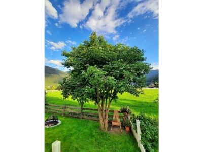 Holiday room Studio (2-3 Pers.) - Outdoor photo 23