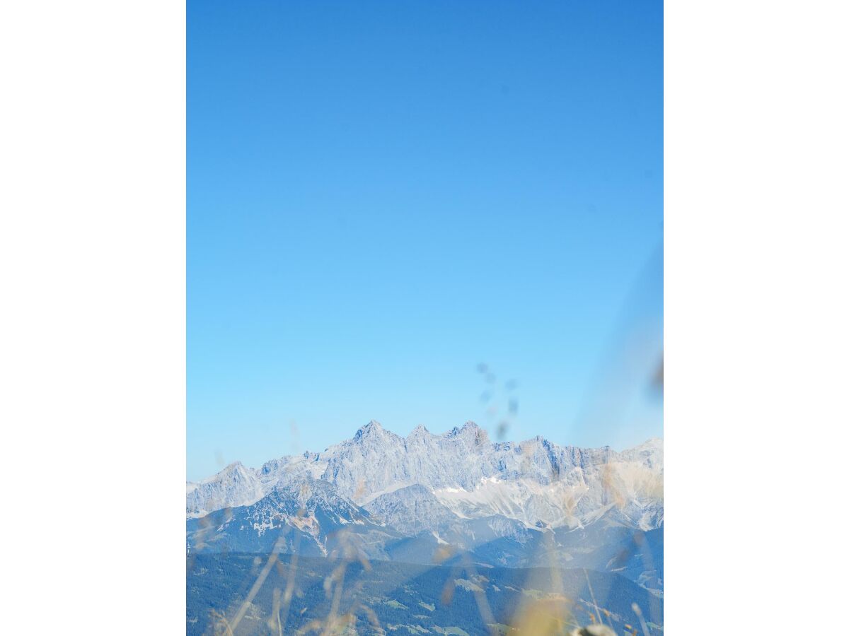 Apartment Das Freigeist Appartement - Outdoor photo 3