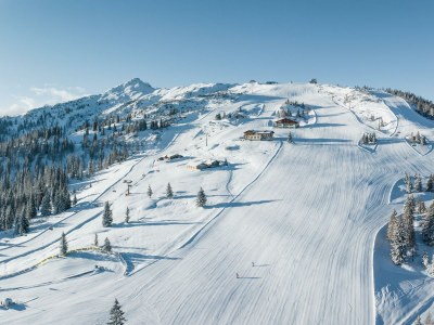 Apartment Das Freigeist Appartement - Outdoor photo 4