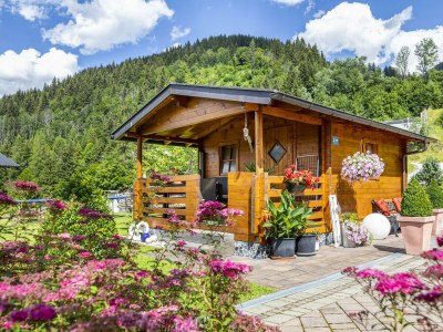 Apartment Fewo B (2-4 Personen/2 SZ) - Outdoor photo 43