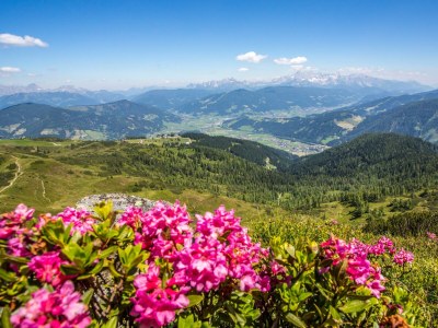 Apartment Fewo B (2-4 Personen/2 SZ) - Outdoor photo 56