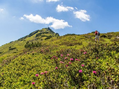 Apartment Fewo B (2-4 Personen/2 SZ) - Outdoor photo 57