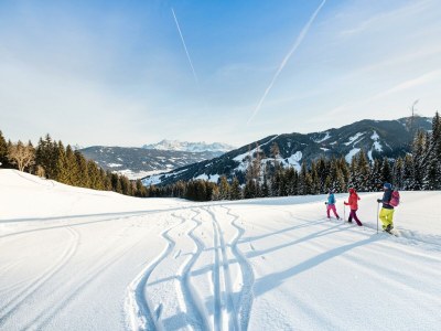 Apartment Fewo B (2-4 Personen/2 SZ) - Outdoor photo 65