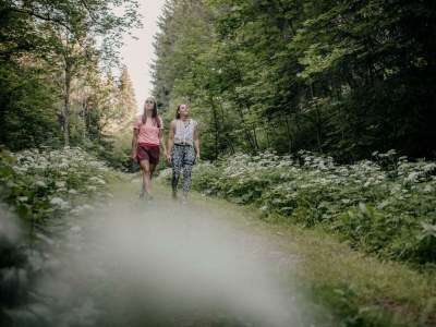 Holiday room Familienzimmer "nest²" (2-4 Pers.) - Outdoor photo 28
