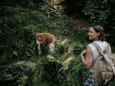 Holiday room Familienzimmer "nest²" (2-4 Pers.) - Outdoor photo 31