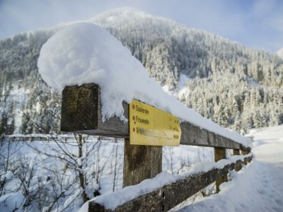 Holiday room Familienzimmer "nest²" (2-4 Pers.) - Outdoor photo 38