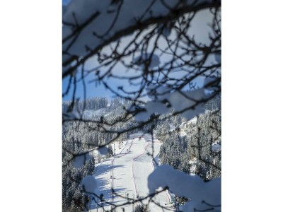 Holiday room Familienzimmer "nest²" (2-4 Pers.) - Outdoor photo 42