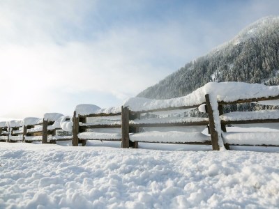 Holiday room Familienzimmer "nest²" (2-4 Pers.) - Outdoor photo 43