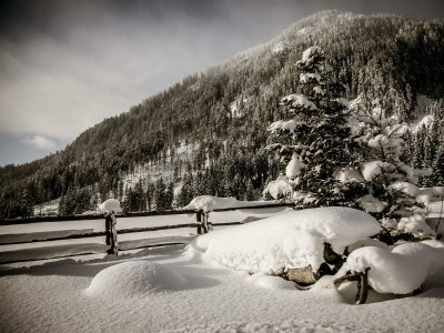 Holiday room Familienzimmer "nest²" (2-4 Pers.) - Outdoor photo 44