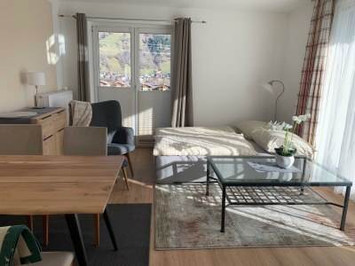 Apartment Appartement/Fewo, Dusche und Bad, WC, Balkon - Features photo 46