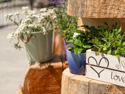 Apartment Lieblingsplatzl zur Morgensonne SR - Outdoor photo 160