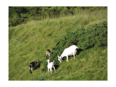 Holiday room Doppelzimmer mit Dusche,WC, - Outdoor photo 25