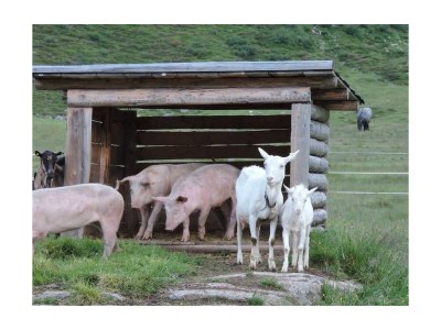Holiday room Doppelzimmer mit Dusche,WC, - Outdoor photo 26