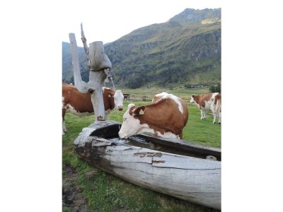 Holiday room Doppelzimmer mit Dusche,WC, - Outdoor photo 27