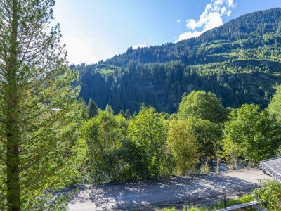 Apartment Schareck Appartement - Outdoor photo 4