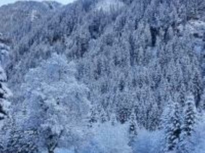 Apartment Schareck Appartement - Outdoor photo 8